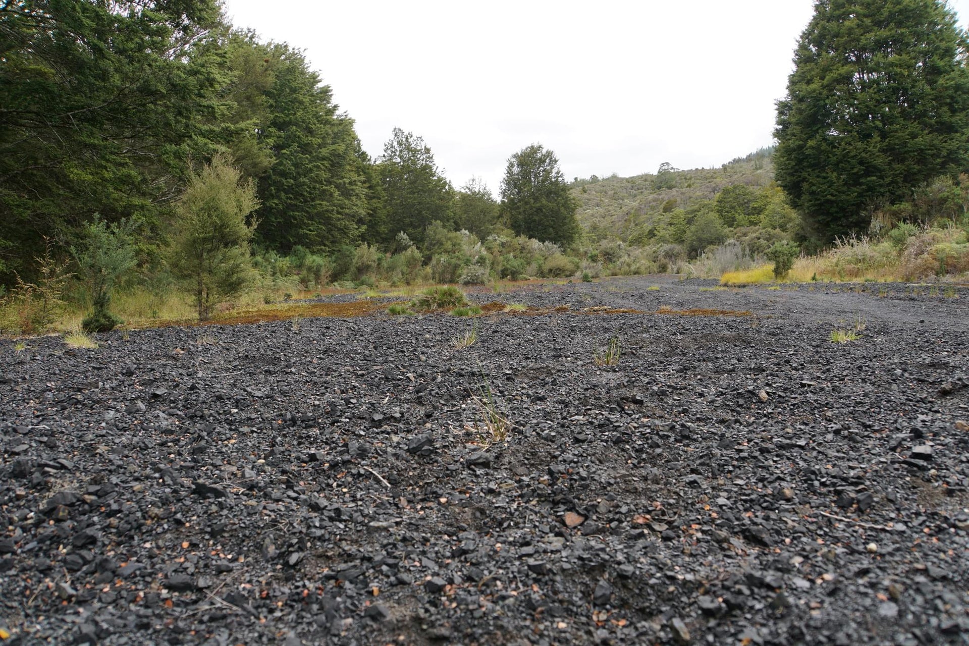 Overgrowing Small Coal Field