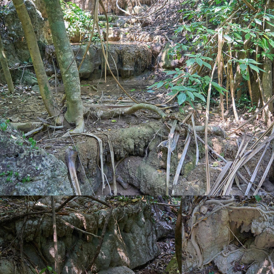 Dried Overgrown Terrace Waterfall