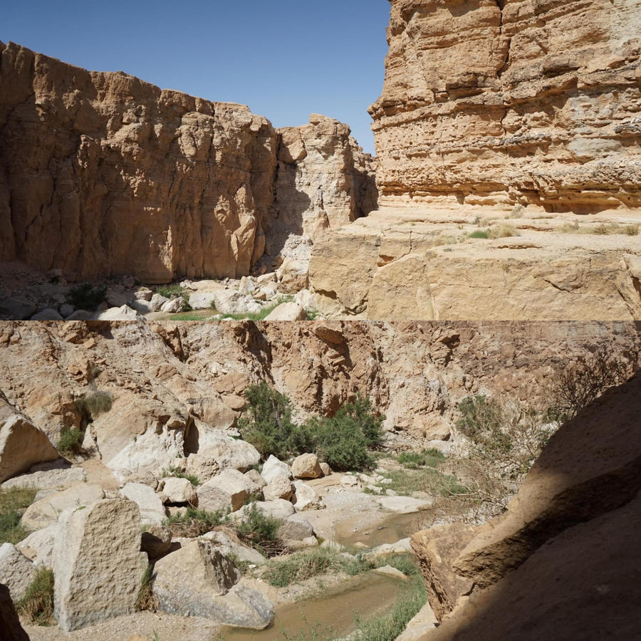 Tunisian Desert Canyon