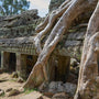 Tomb Raider Overgrown Ancient Temple