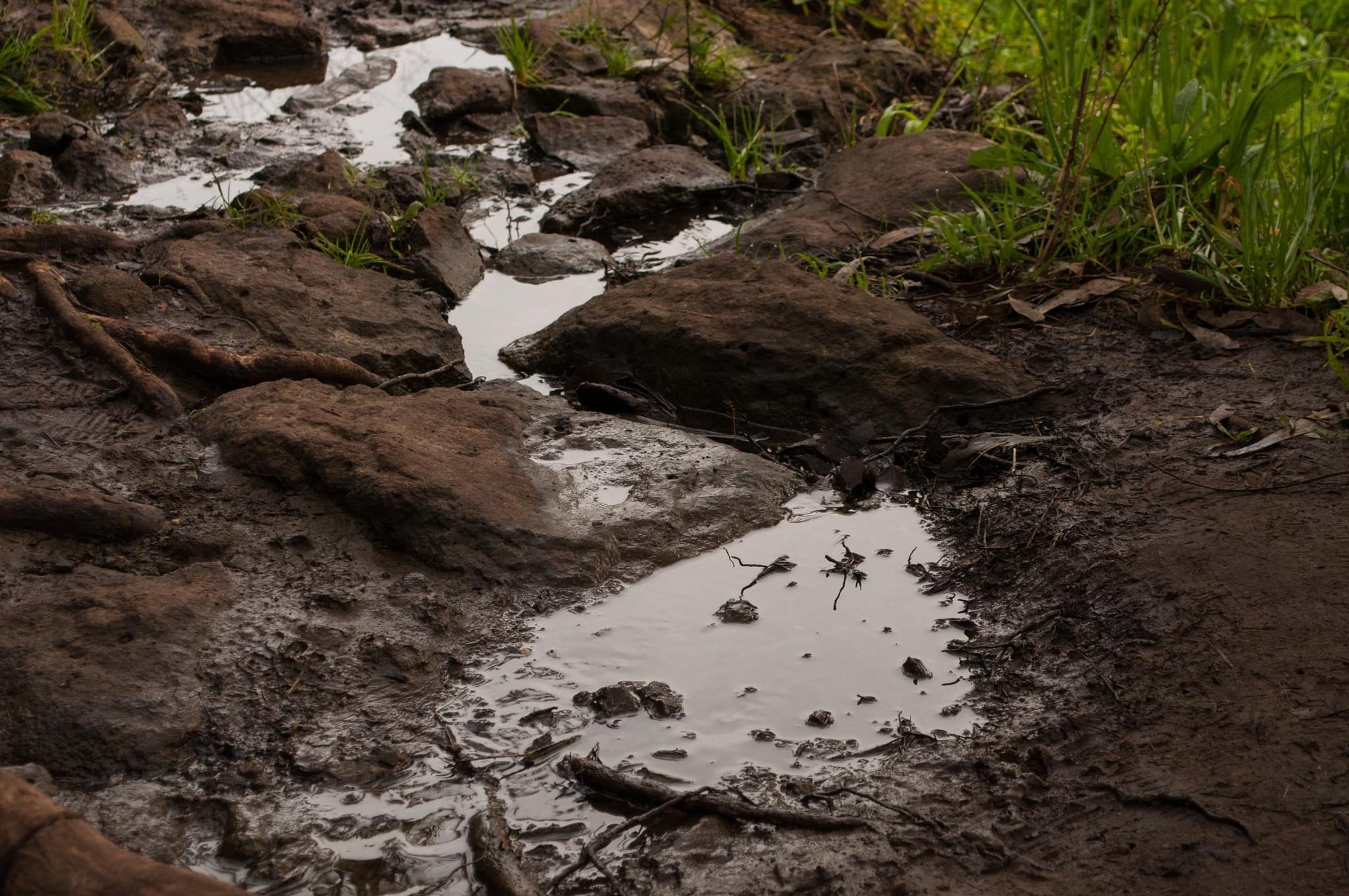 Muddy Paths