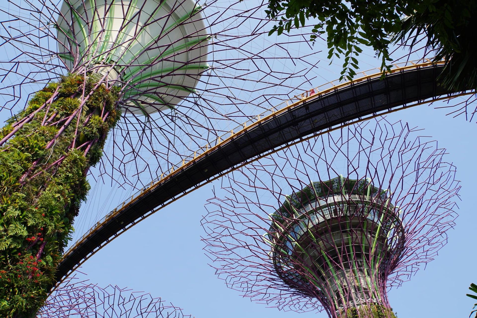 Giant Tree Garden Structures