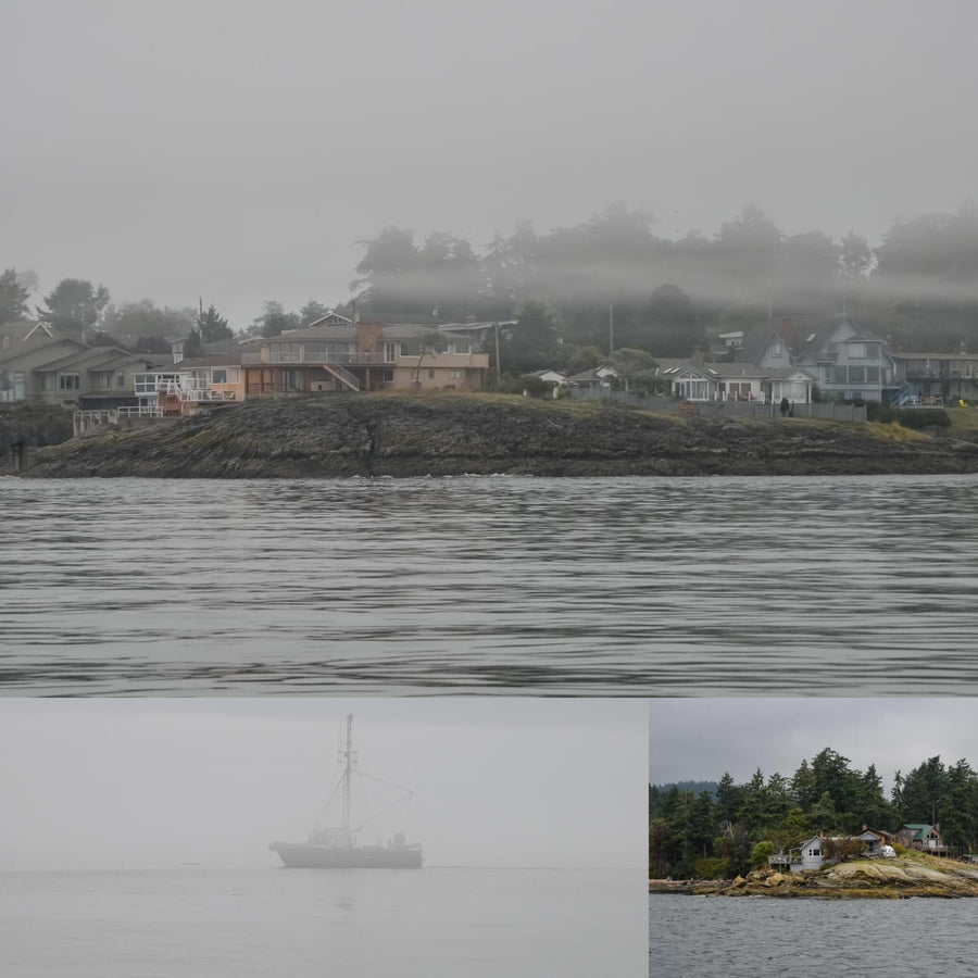 Misty Coast