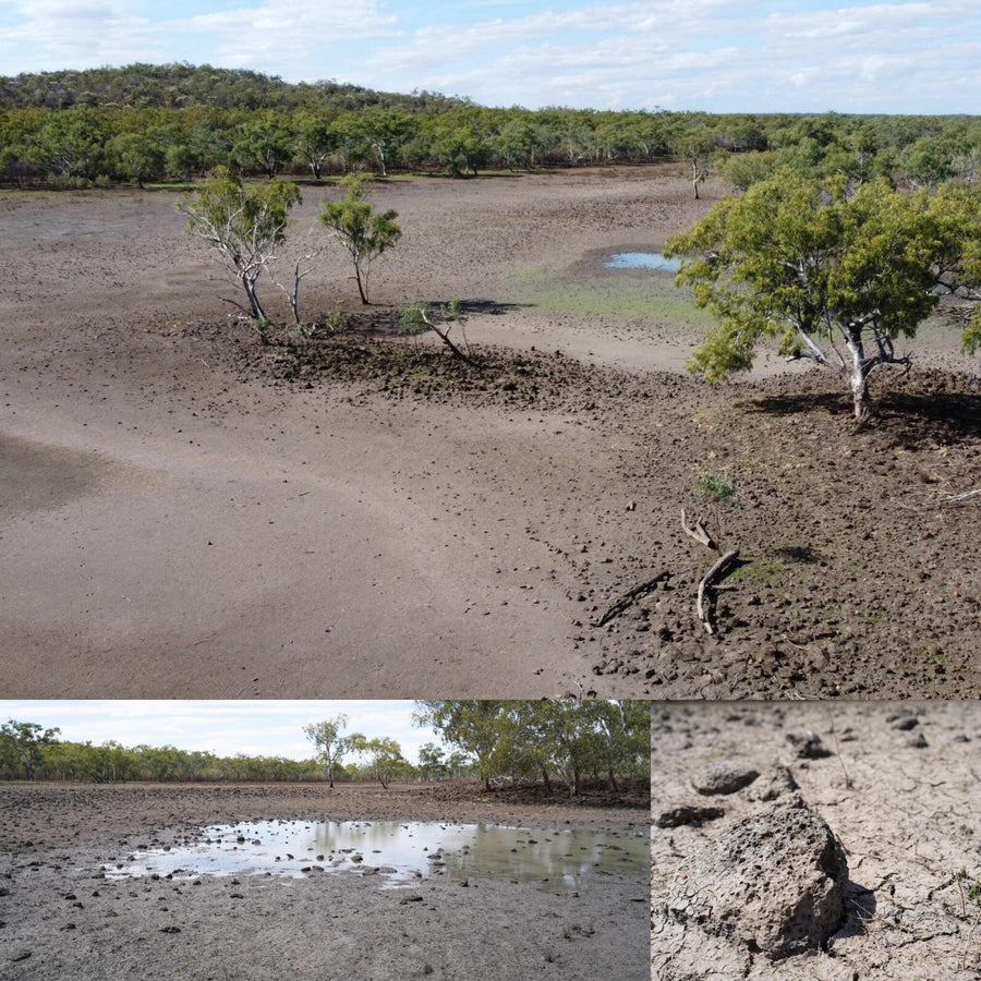 Drying Basalt Covered Swamp