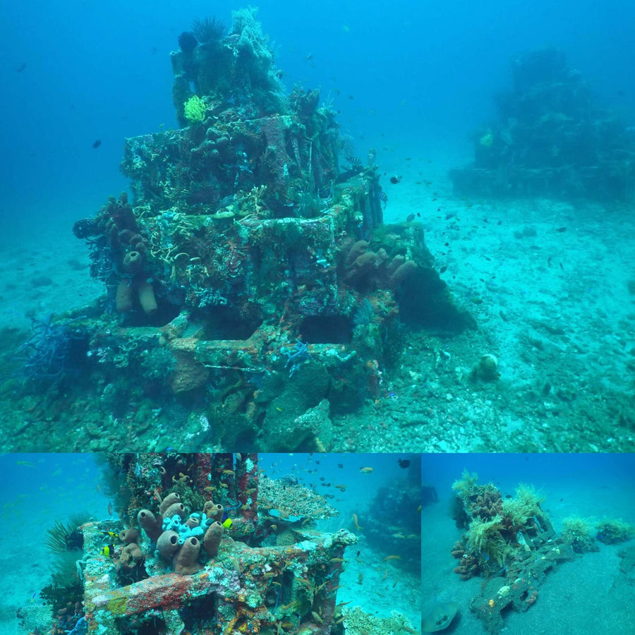 Coral Pyramid Structures