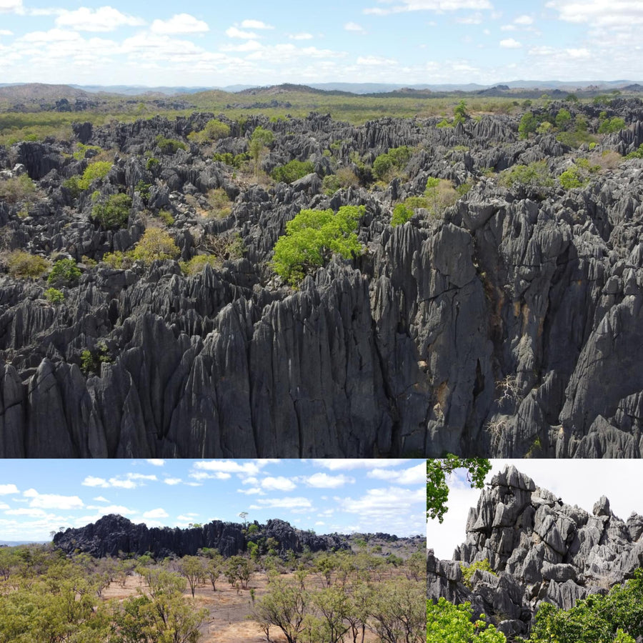 Limestone Castle Rock Formation