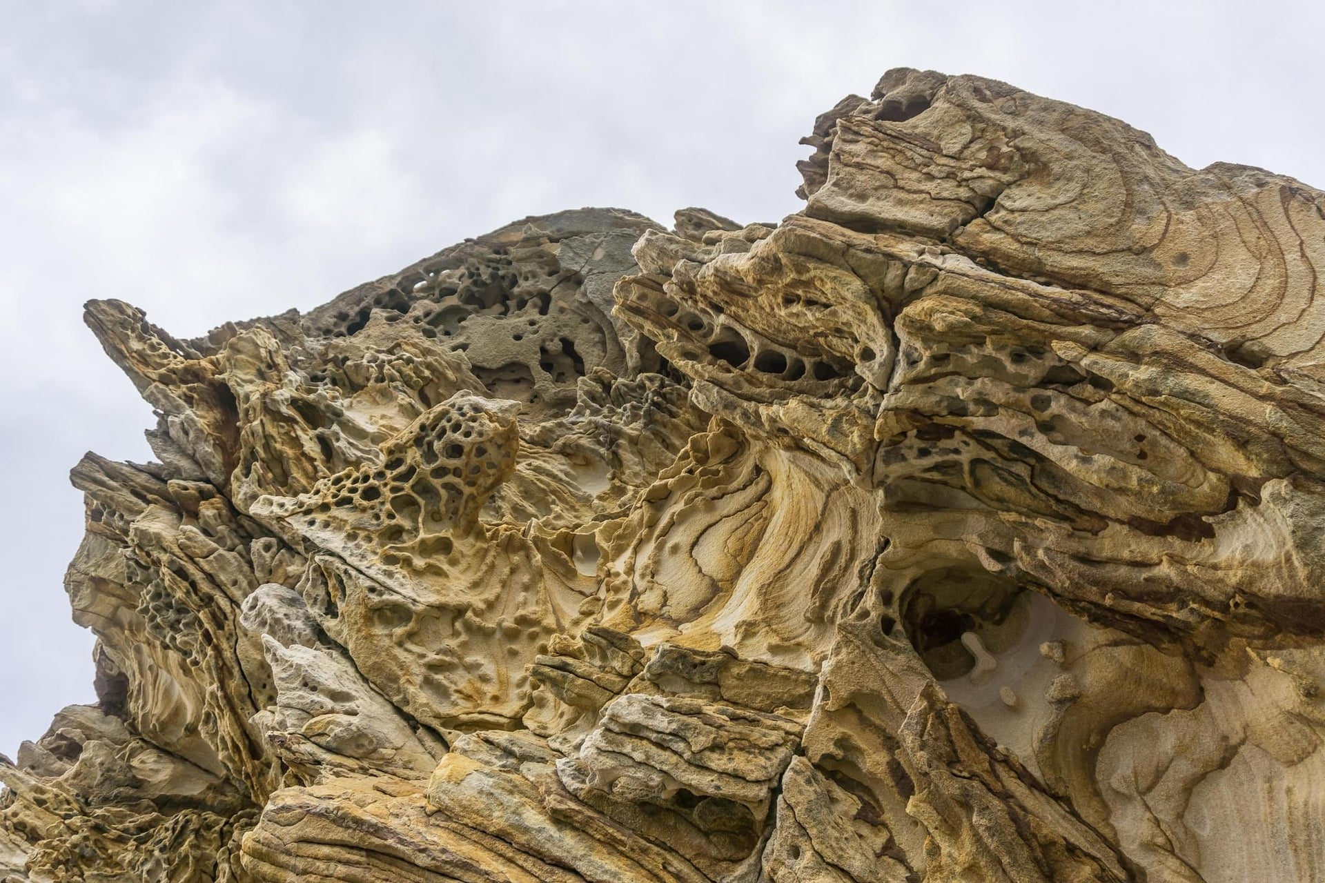 Tasmanian Painted Cliffs