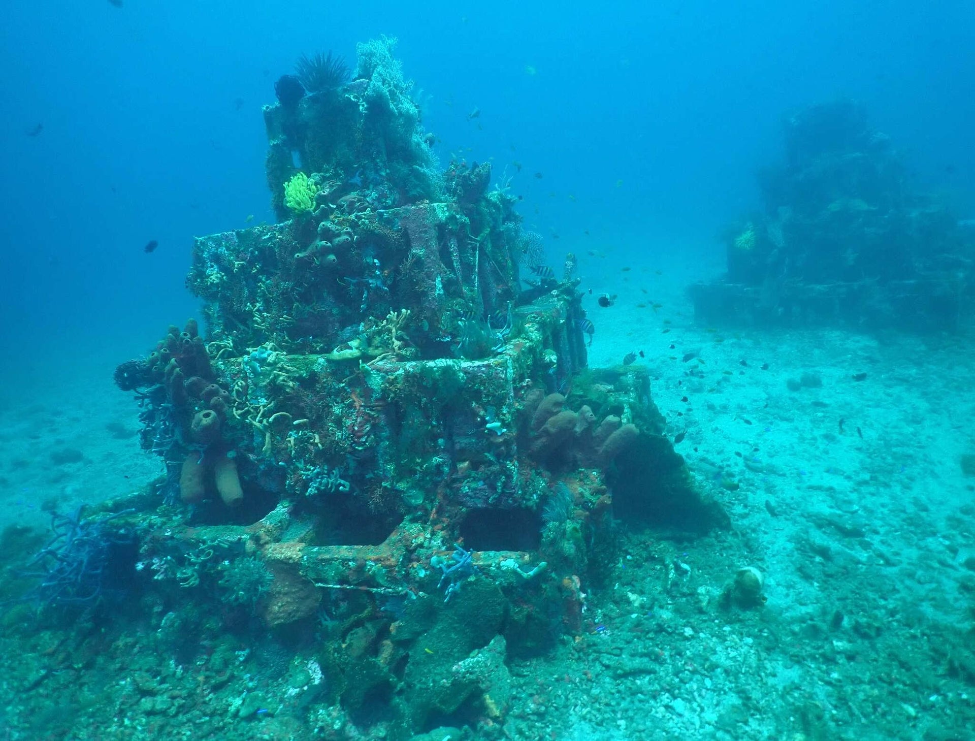 Coral Pyramid Structures