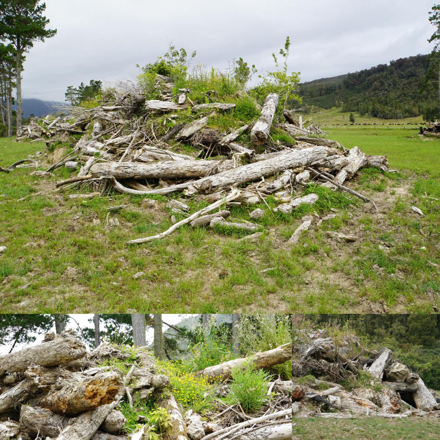 Wood Piles