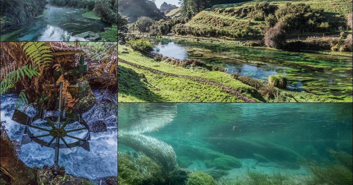 464 photos of Blue Spring – Fotoref