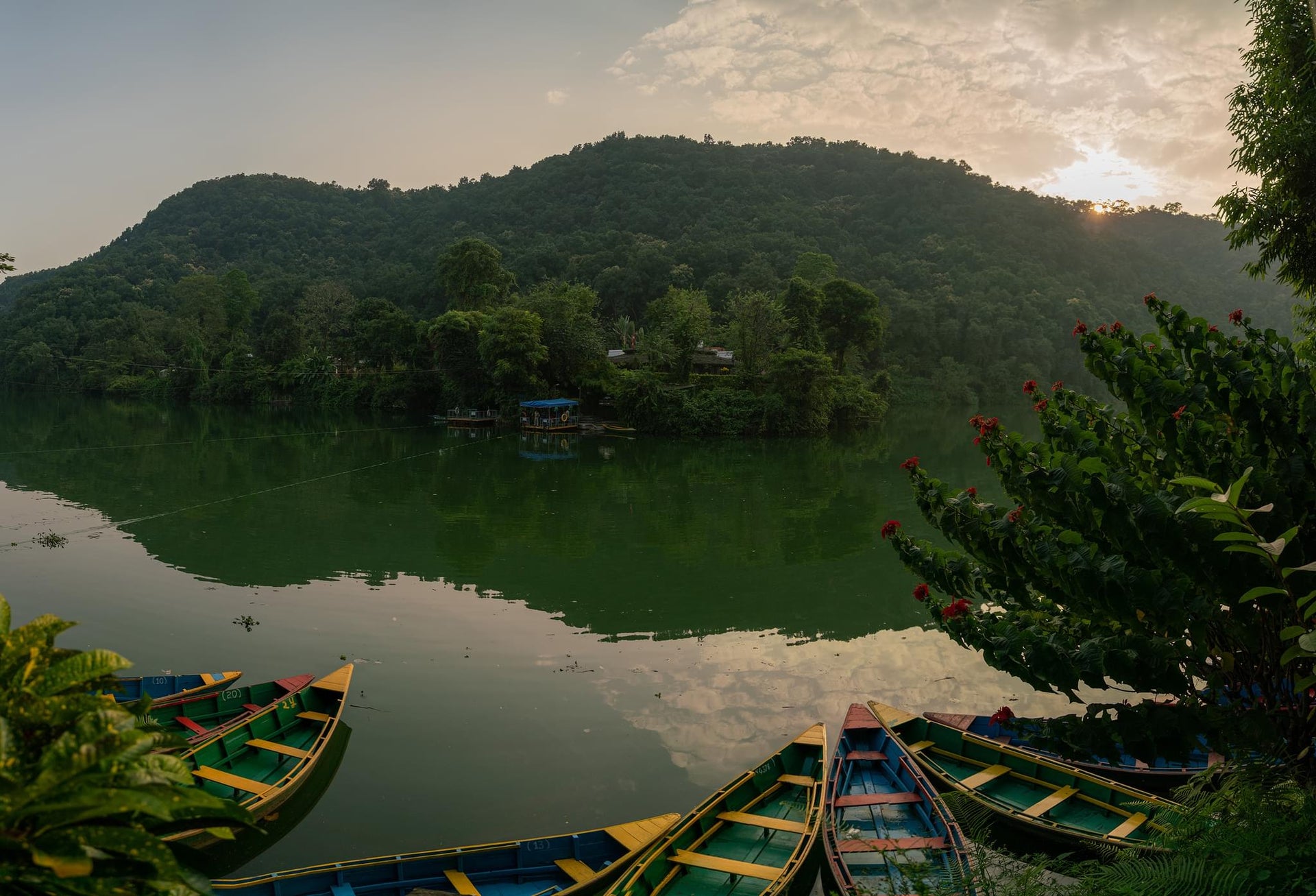 Himalayan Jungle Lake