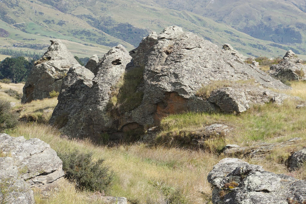 193 photos of Dry Field Rocks – Fotoref