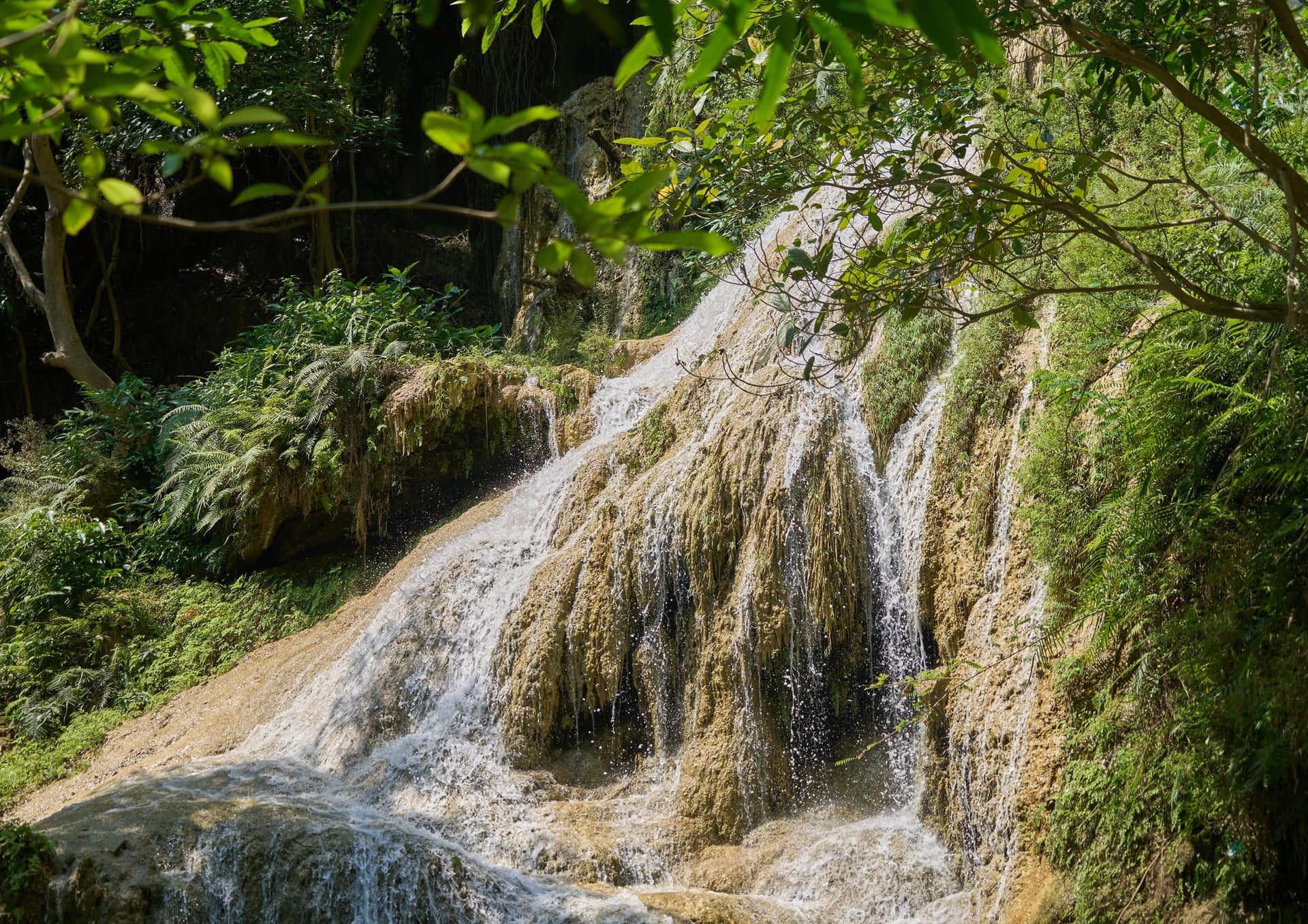 Bulging Terrace Jungle Waterfall