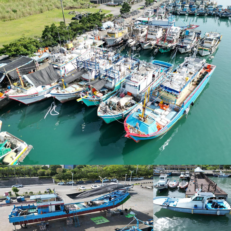 Taiwanese Fisherman Marina