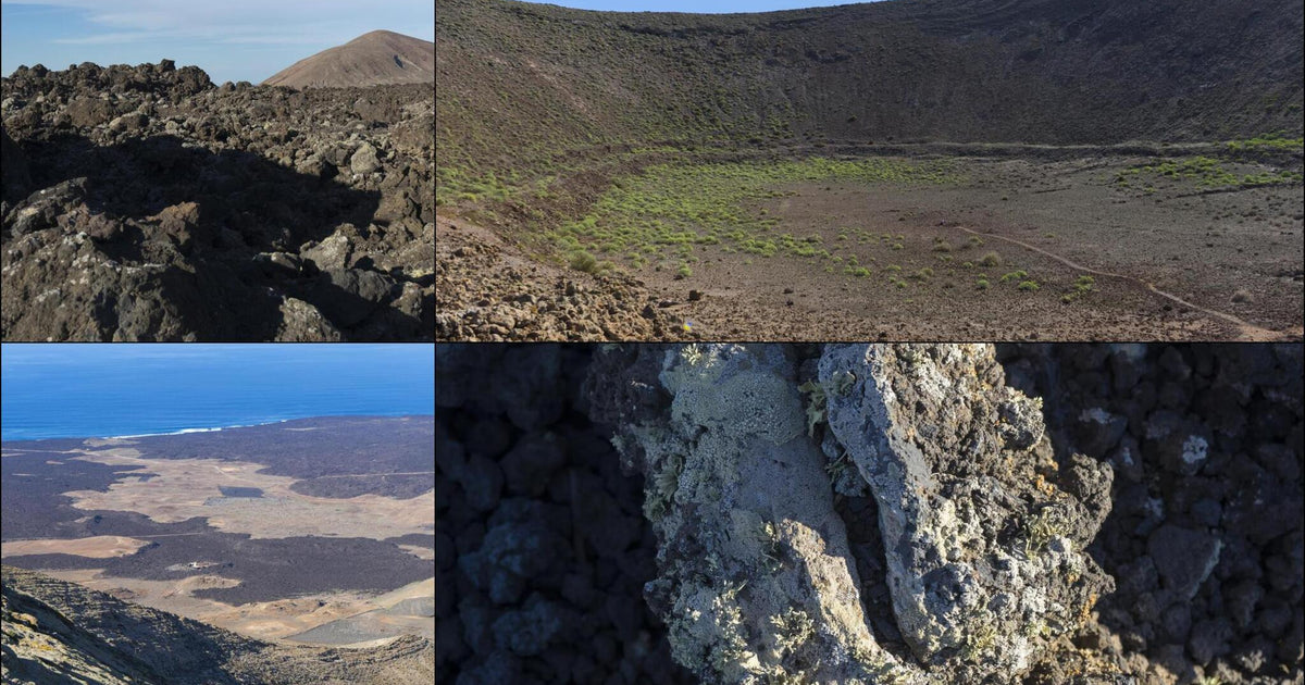 260 photos of Lanzarote Volcanic Landscape – Fotoref