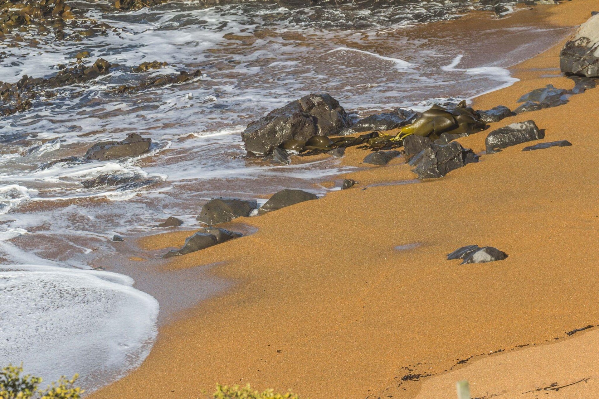 66 photos of Rust Sand – Fotoref