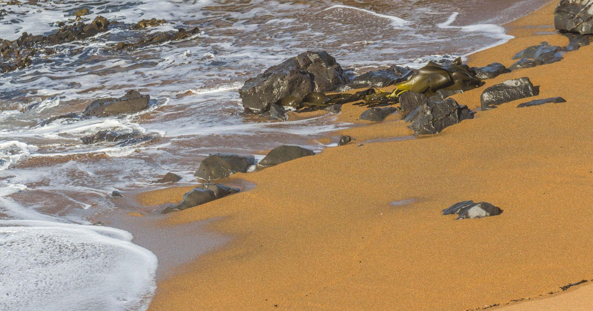 66 photos of Rust Sand – Fotoref