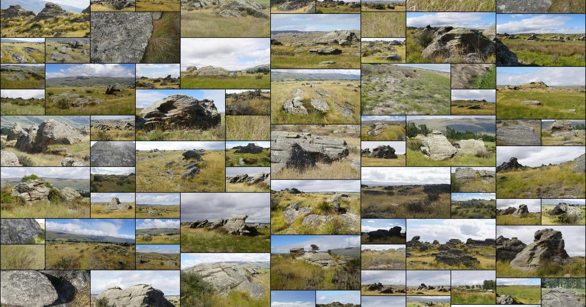 193 photos of Dry Field Rocks – Fotoref