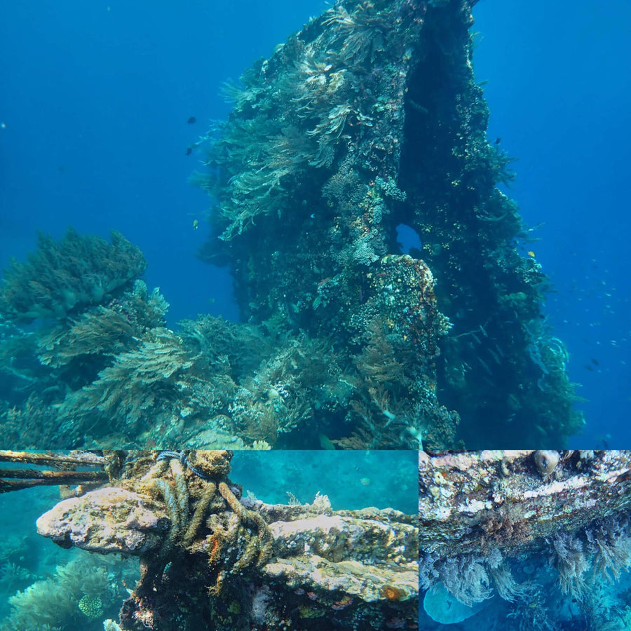 Small Shallow Water Overgrown Wreck