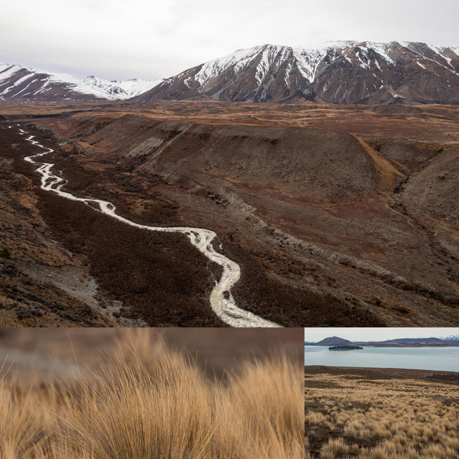 Tussock Grasslands