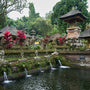 Hindu Mossy Temple