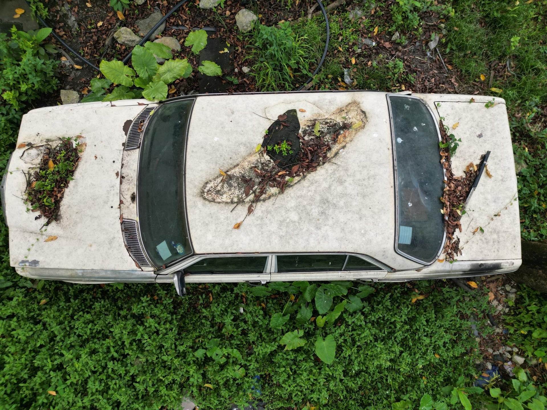 Roadside Cars Dump