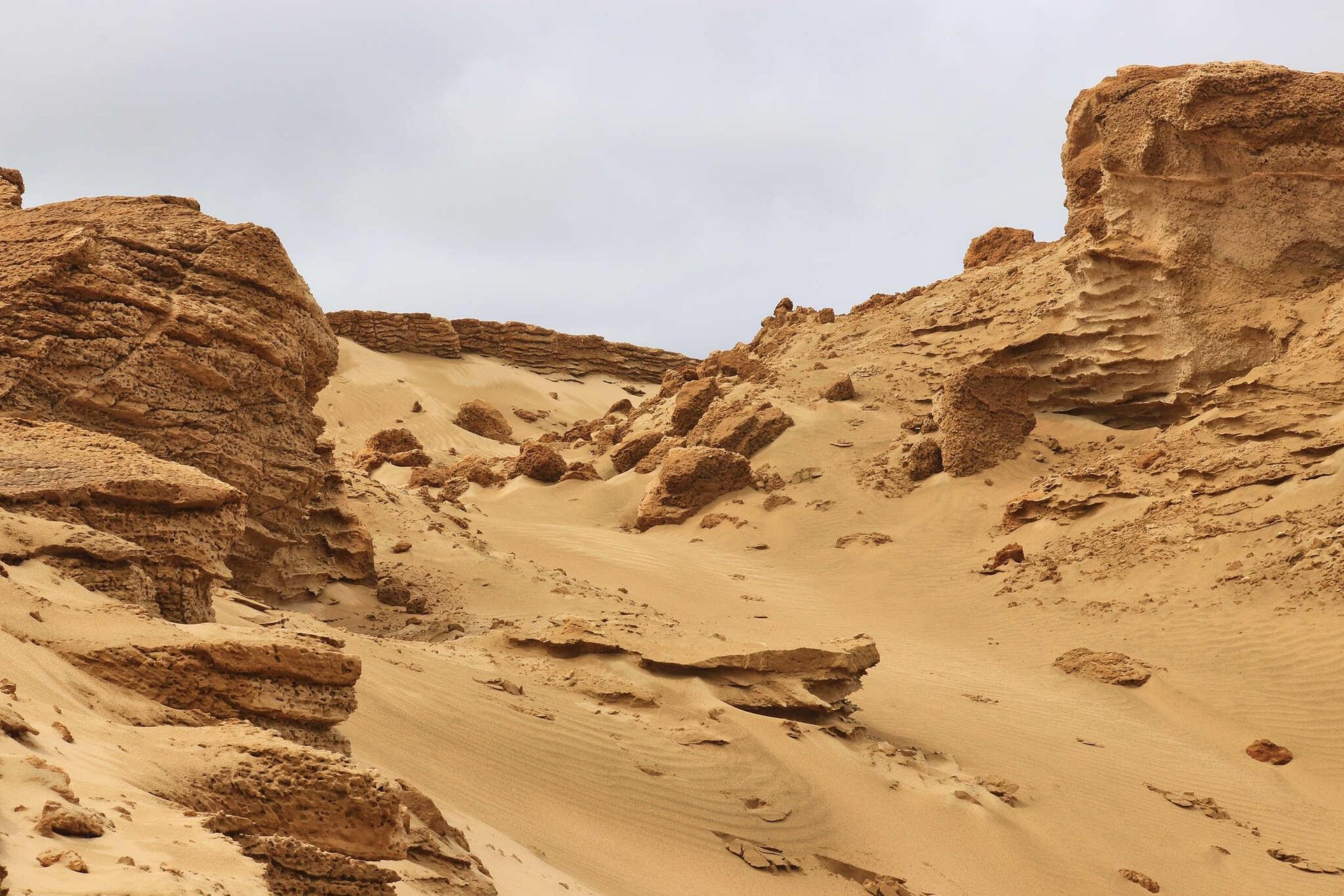 Giant Sand Dunes