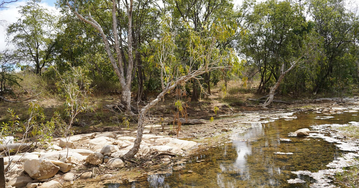 52 photos of Water Stream Drying Out – Fotoref