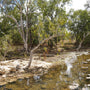 Water Stream Drying Out