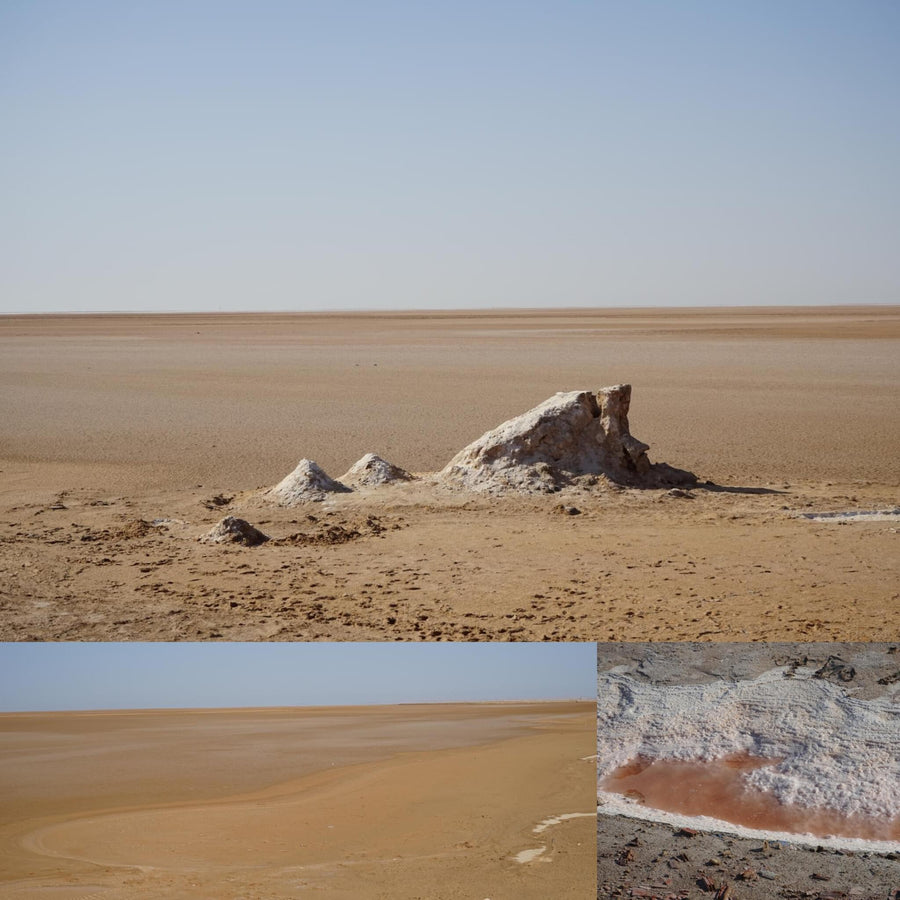 Salt Desert