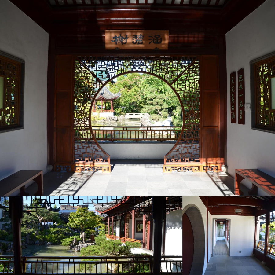 Sunny Chinese Gardens
