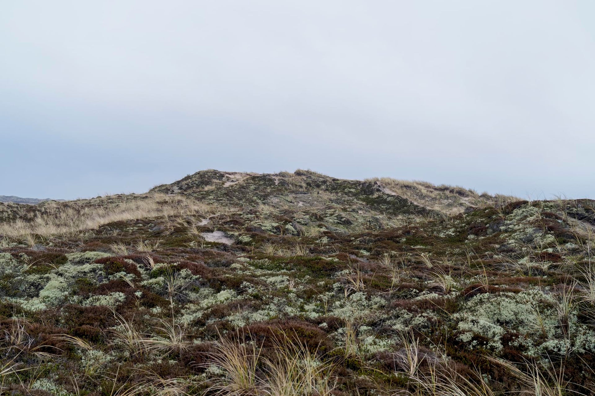 Nordic Sand Dunes