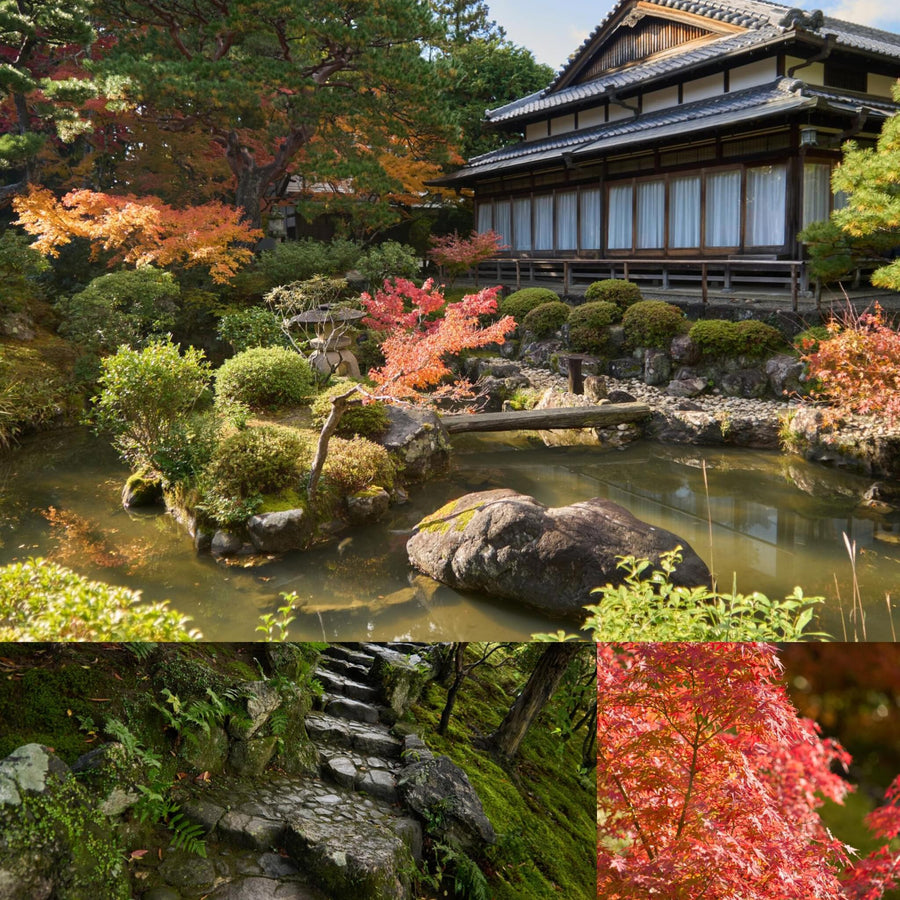 Japanese Zen Garden in Autumn