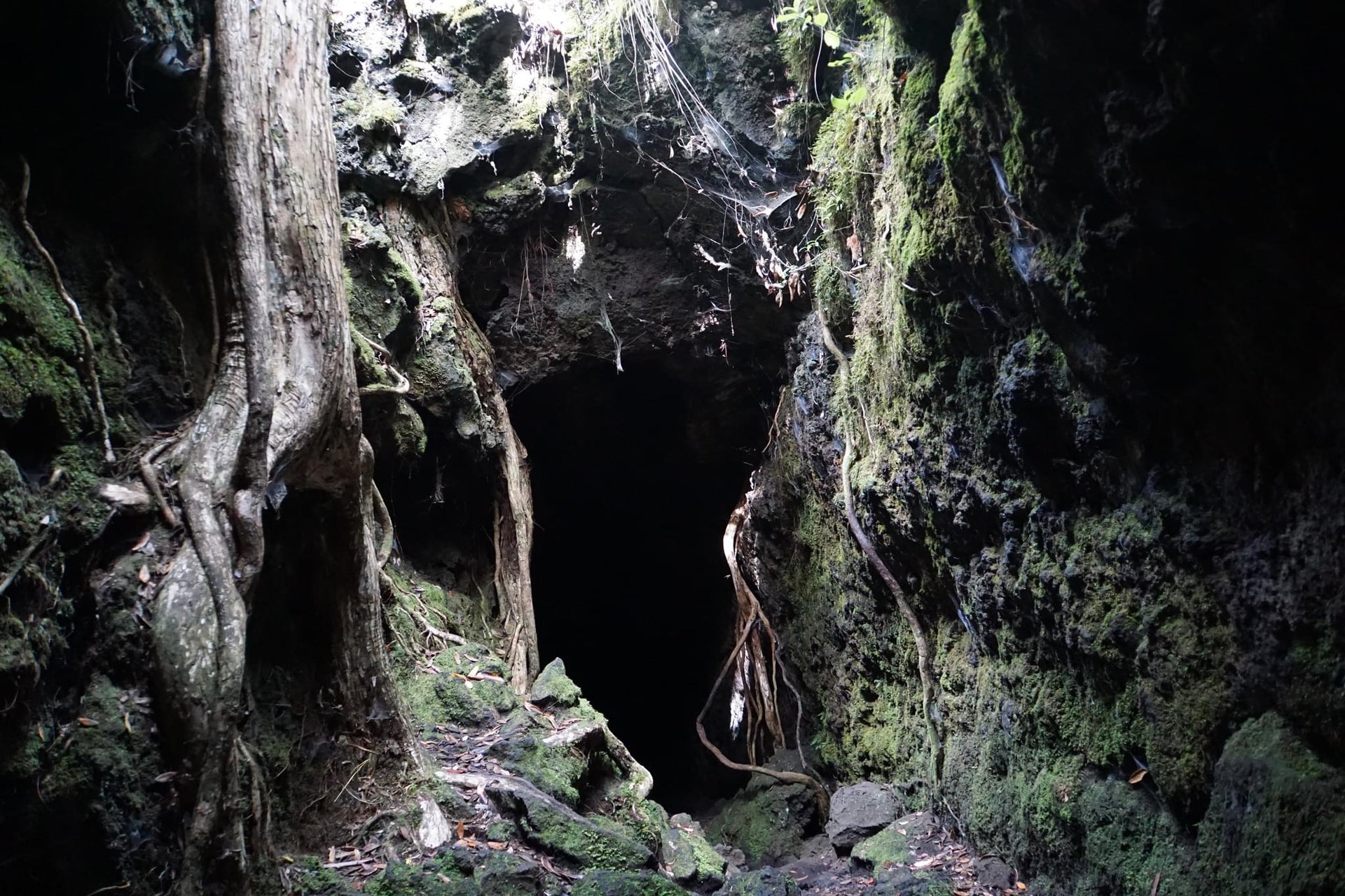 Lava Cave
