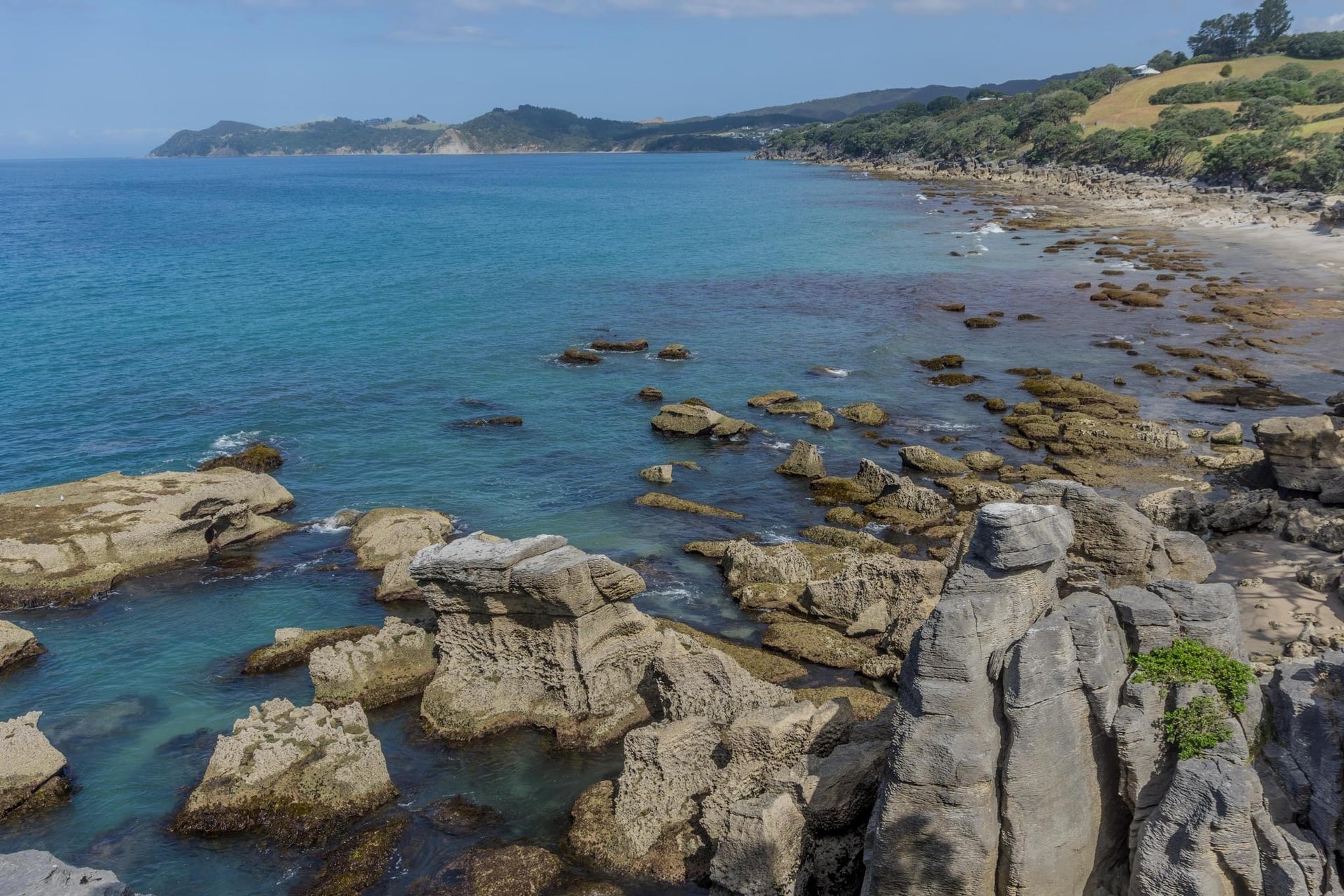 Waipu Layered Rocks