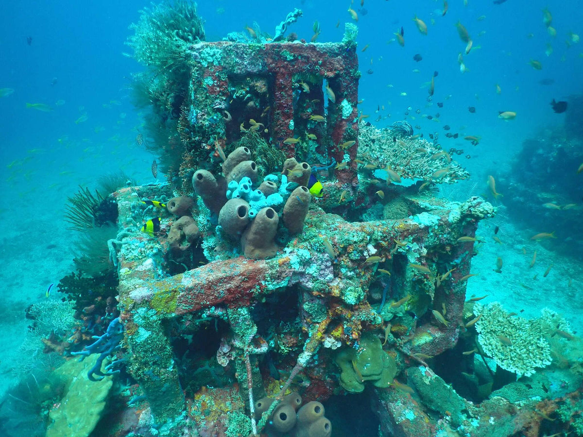166 photos of Coral Pyramid Structures – Fotoref