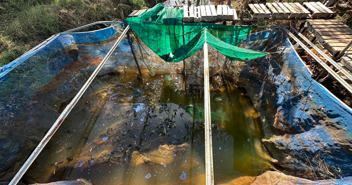 93 photos of Trashy Tiny Asian Fishing Farm – Fotoref
