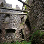 Castle Ruins and Bridge