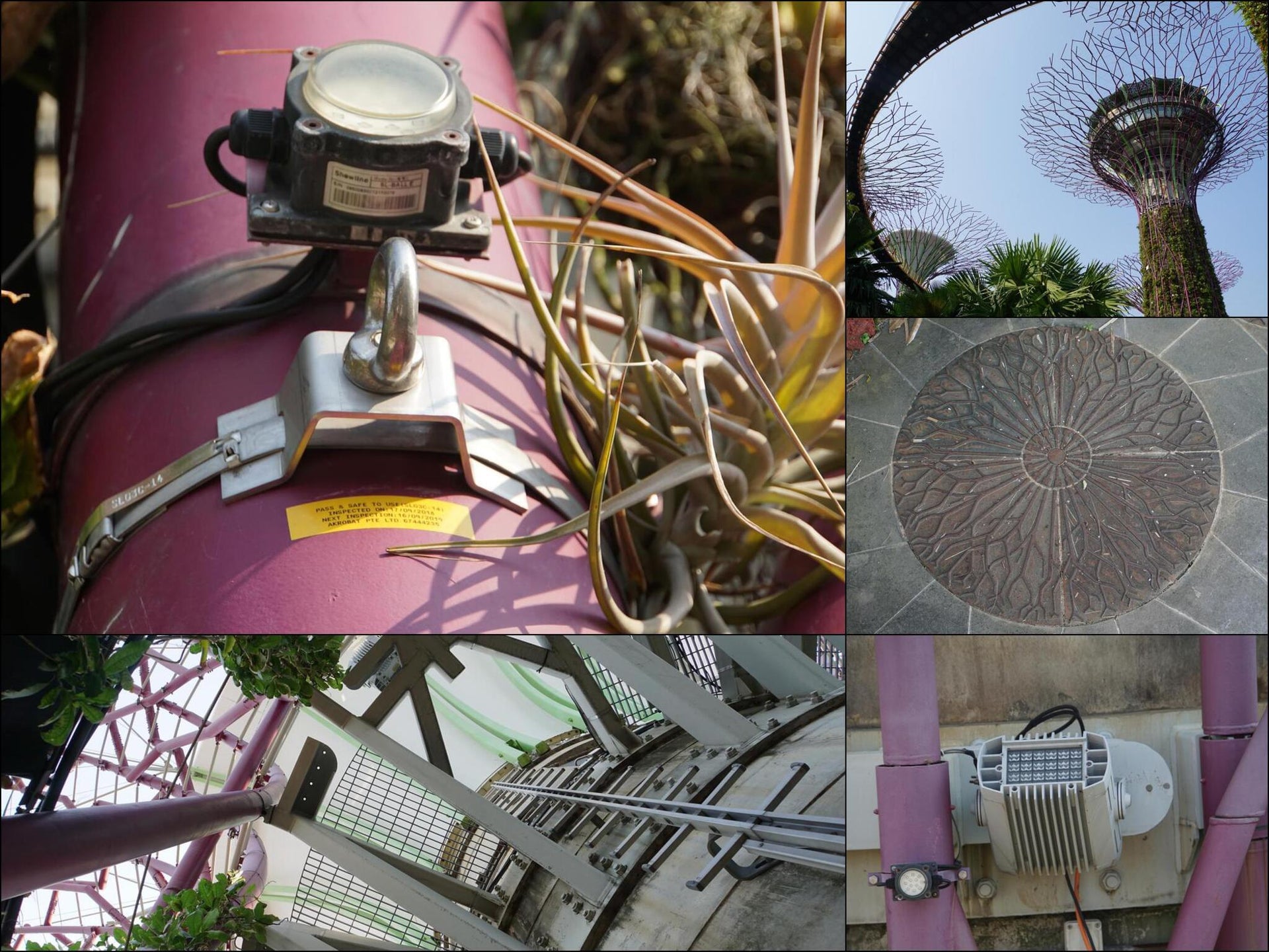 255 photos of Giant Tree Garden Structures – Fotoref