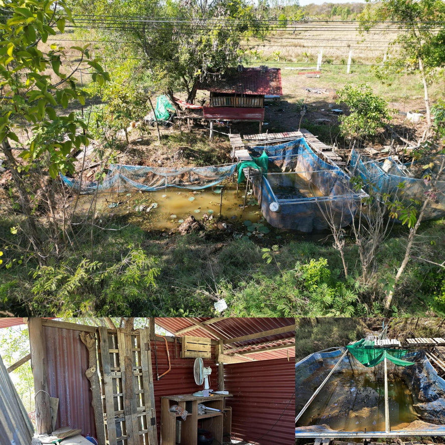Trashy Tiny Asian Fishing Farm