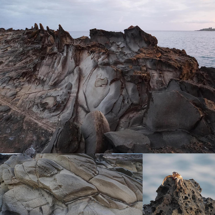 Dragon Teeth Stones