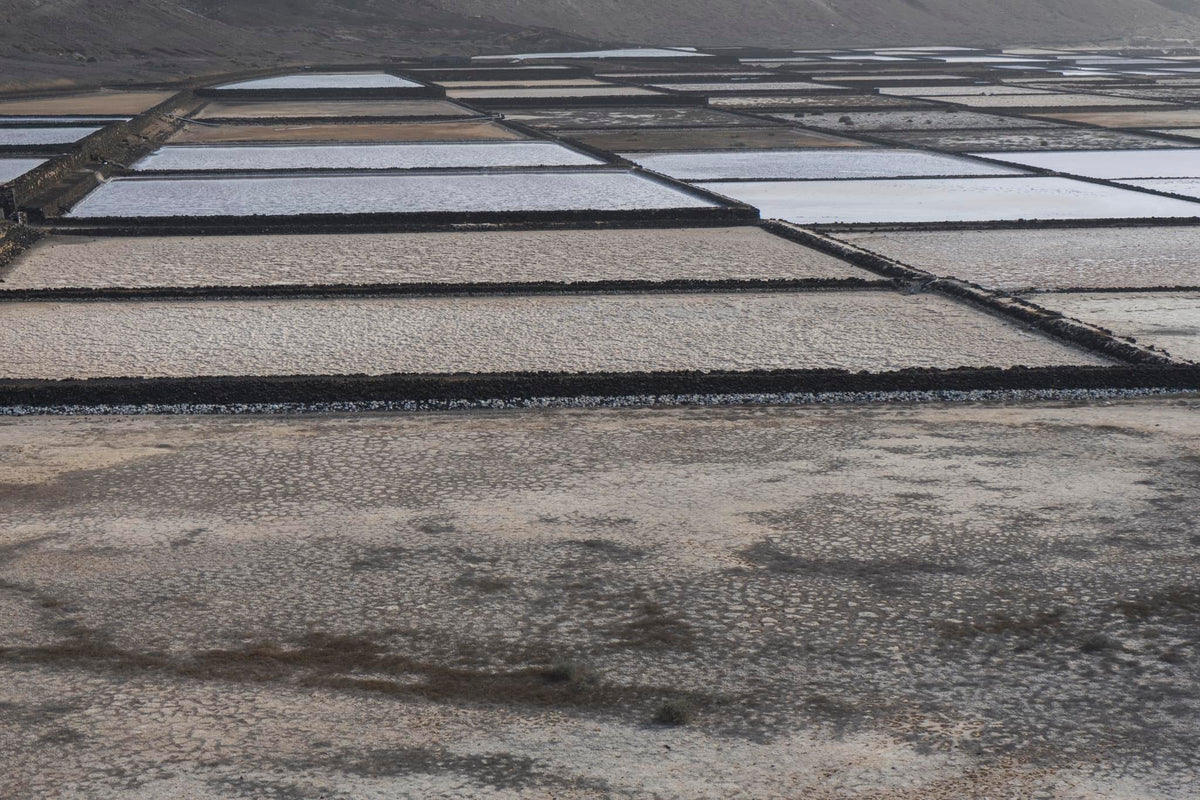 73 photos of Saltworks – Fotoref