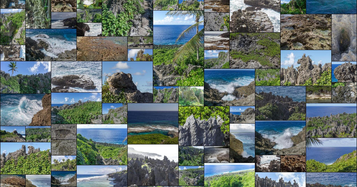280 photos of Razor-Sharp Coral Formations – Fotoref