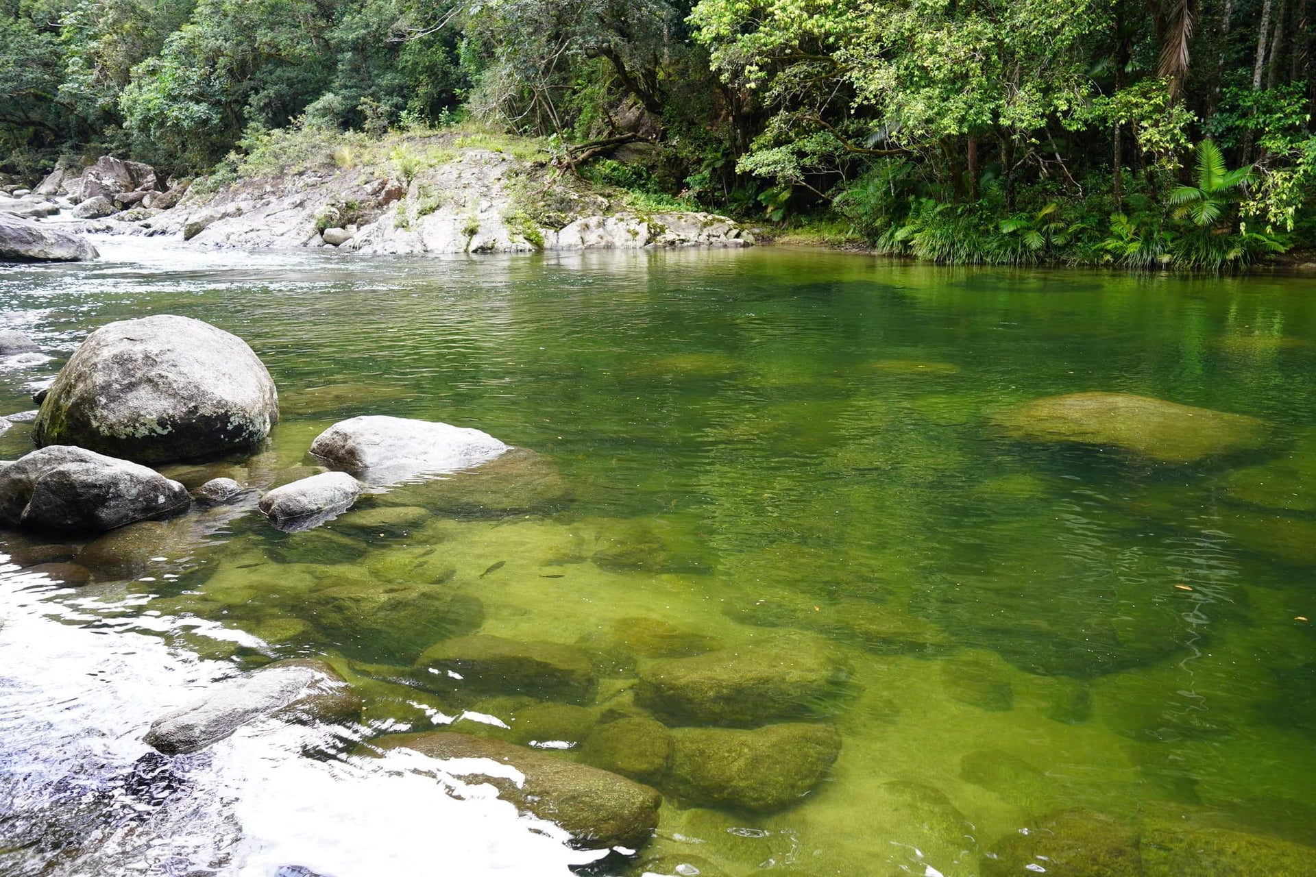 Light Green Shallow Stream