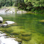 Light Green Shallow Stream