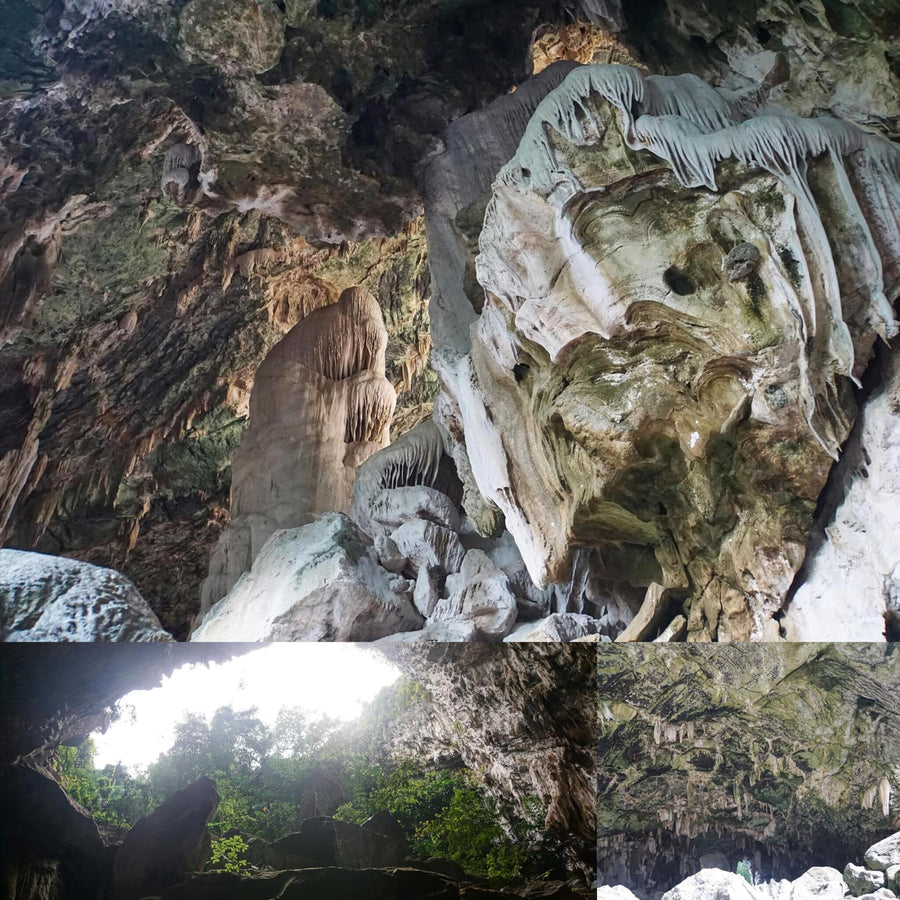 Tropical Cave