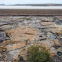 Rocky Dam Basin