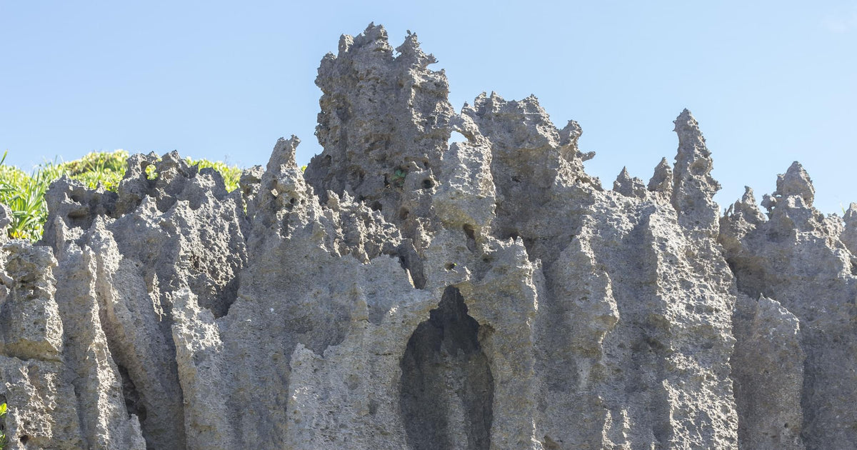 280 photos of Razor-Sharp Coral Formations – Fotoref