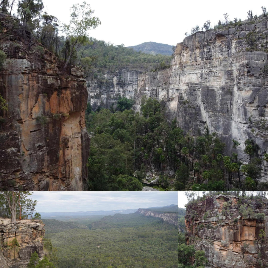Limestone Gorge Environment