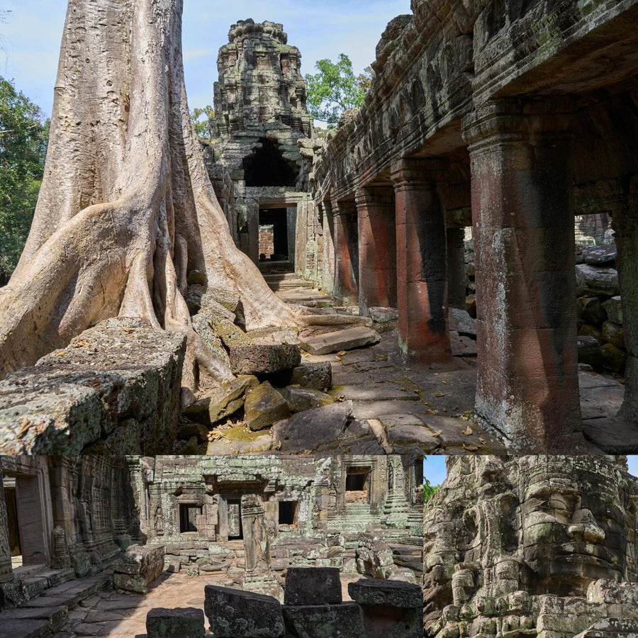 Red and Green Moss Overgrown Khmer Ancient Temple